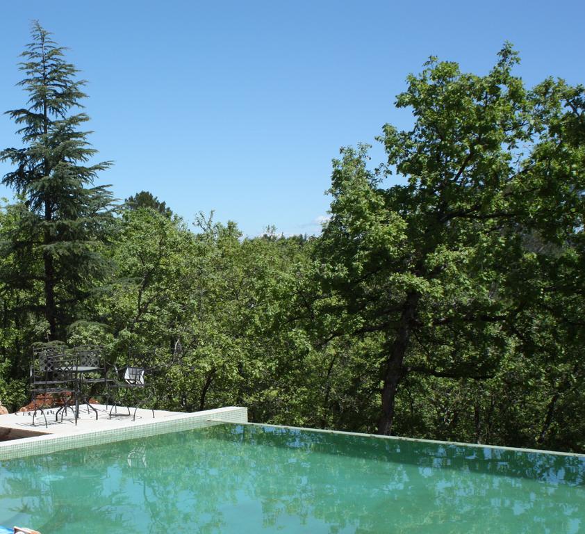 Sous Les Oliviers - Piscine Chauffee - Studios De Standing Tout-Equipes Saint-Maximin-la-Sainte-Baume Room photo