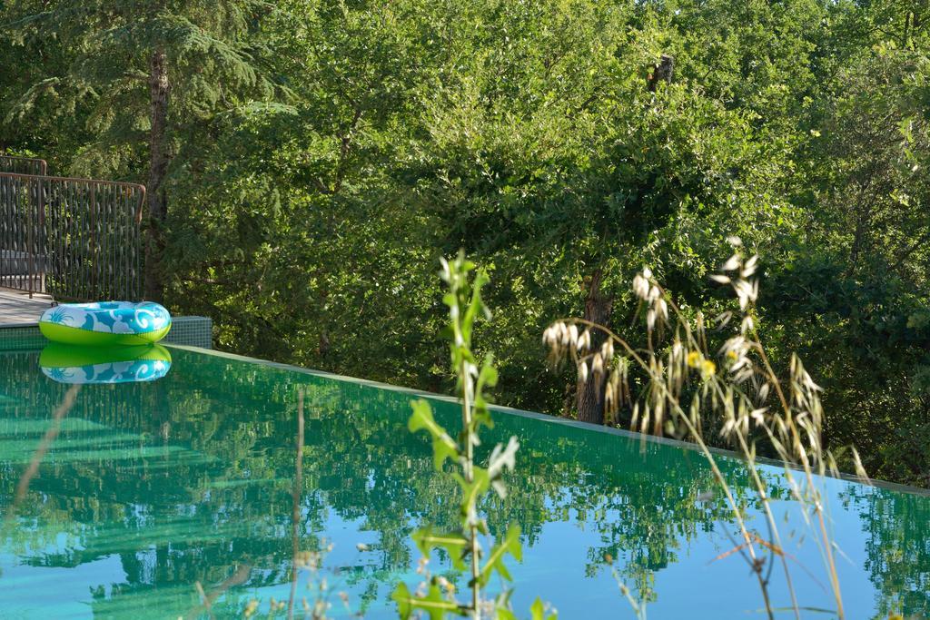 Sous Les Oliviers - Piscine Chauffee - Studios De Standing Tout-Equipes Saint-Maximin-la-Sainte-Baume Exterior photo