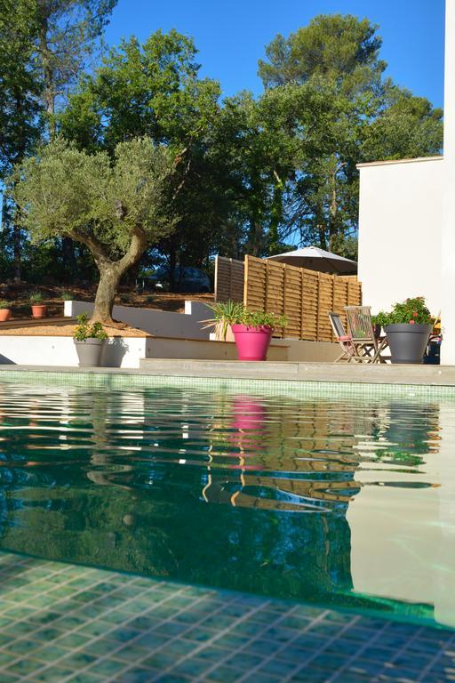 Sous Les Oliviers - Piscine Chauffee - Studios De Standing Tout-Equipes Saint-Maximin-la-Sainte-Baume Exterior photo