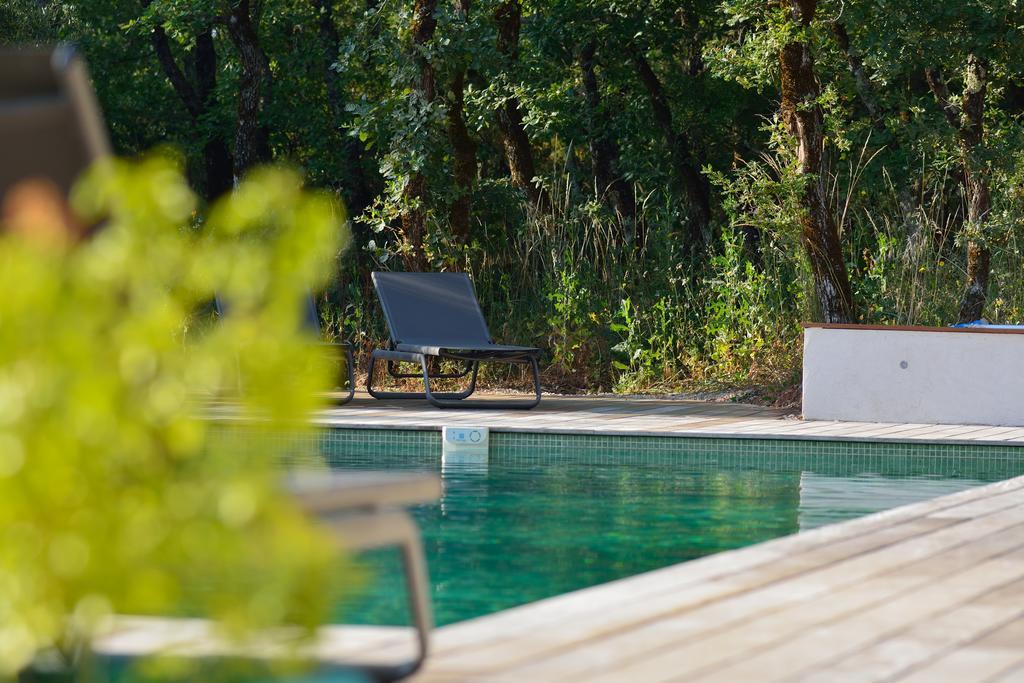 Sous Les Oliviers - Piscine Chauffee - Studios De Standing Tout-Equipes Saint-Maximin-la-Sainte-Baume Exterior photo